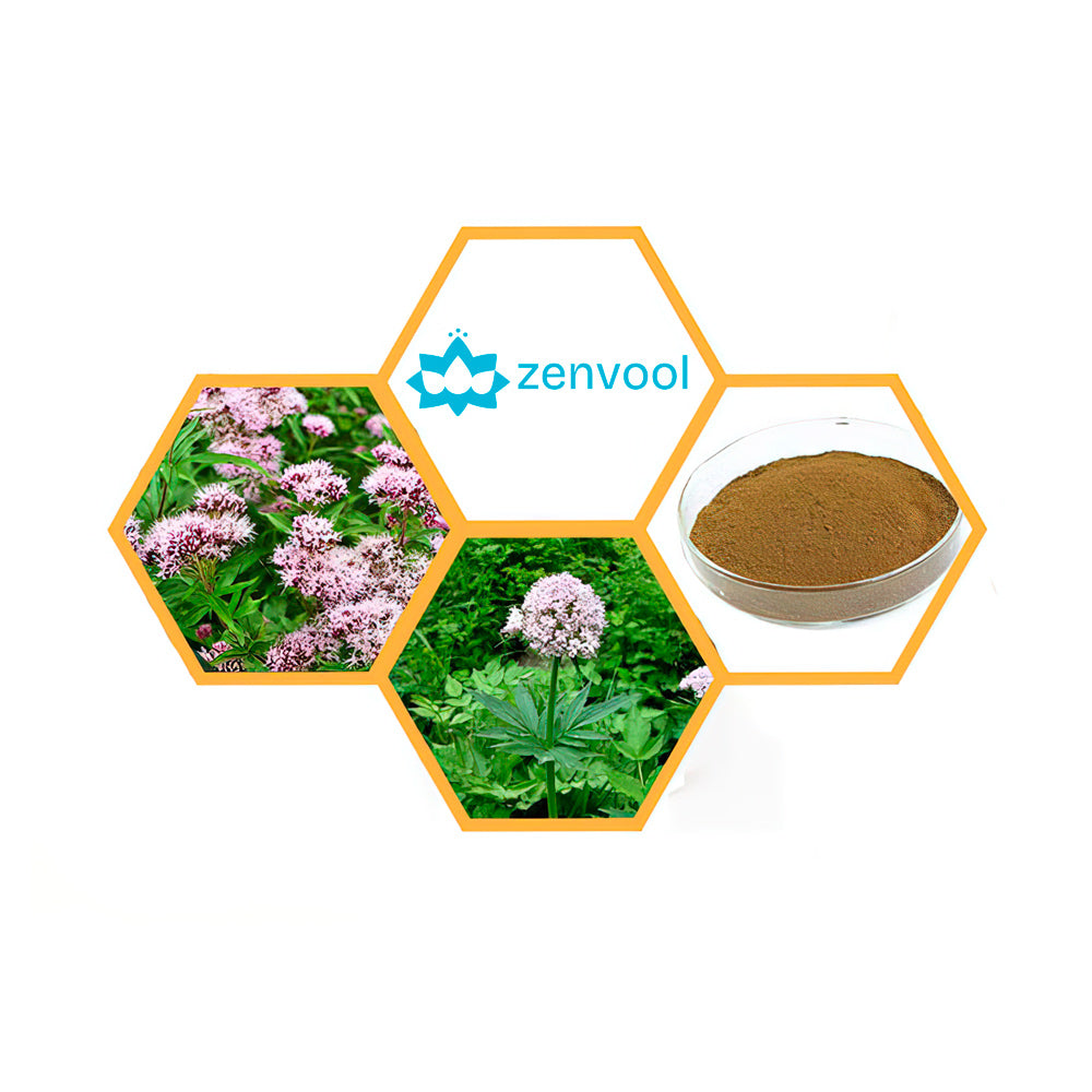 High Quality Valeriana Officinalis Extract Valerian Root Extract Powder 20:1,Valeriana Officinalis Extract