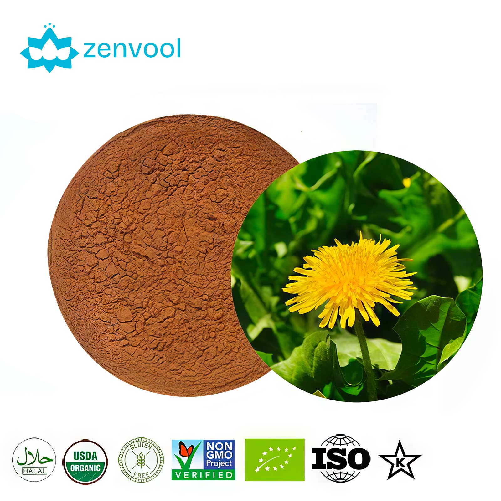 Dandelion Extract / Dandelion Root Extract Powder,Pu Gong Ying Extract Supports Liver, Kidney and Gallbladder