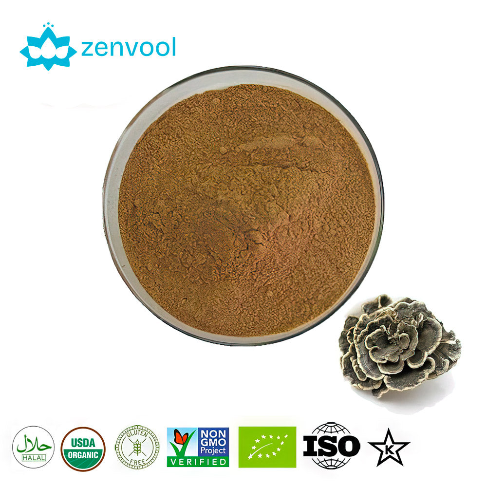 Original and Pure Coriolus Versicolor Extract Powder Cloud Mushroom Extract for Chronic Bronchitis