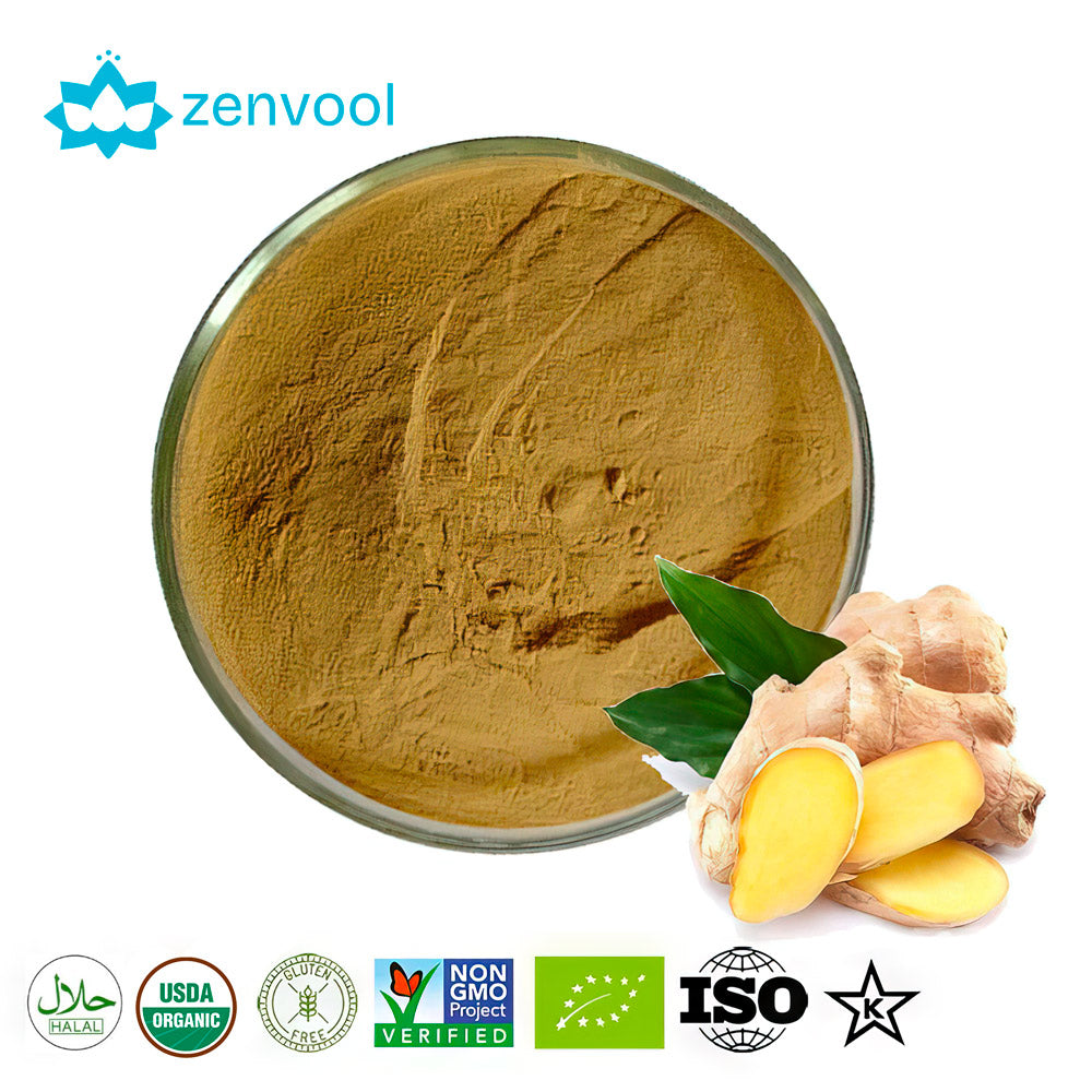 Organic Ginger Extract Powder,Zingiber Officinale,Inhibit C-Ancer Growth,For Nausea,Eases Menstrual Pains,Digestive Support