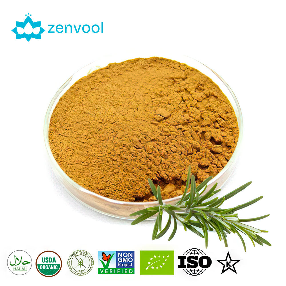 Rosemary Extract 10:1 Powder Rosmarinic Carnosic Ursolic Acid Antioxidant